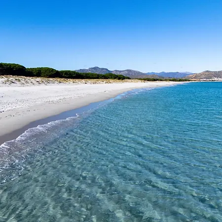 Bellavista * Tanaunella