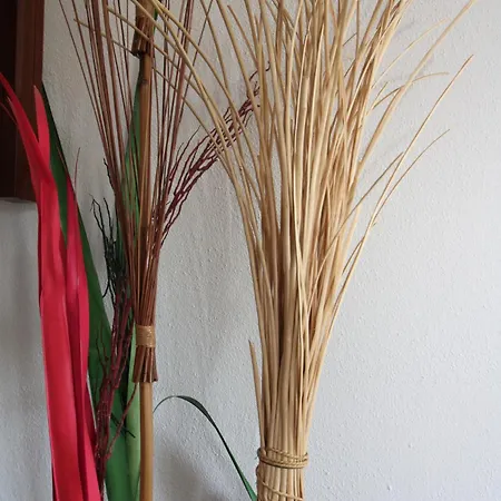 Prázdninový dům Bellavista