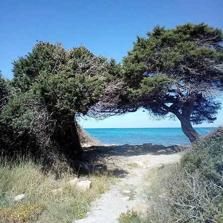 Bellavista