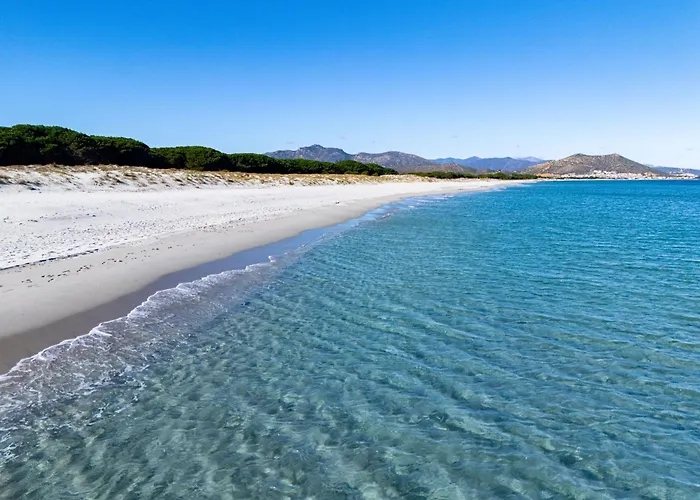 Bellavista * 塔瑙内拉